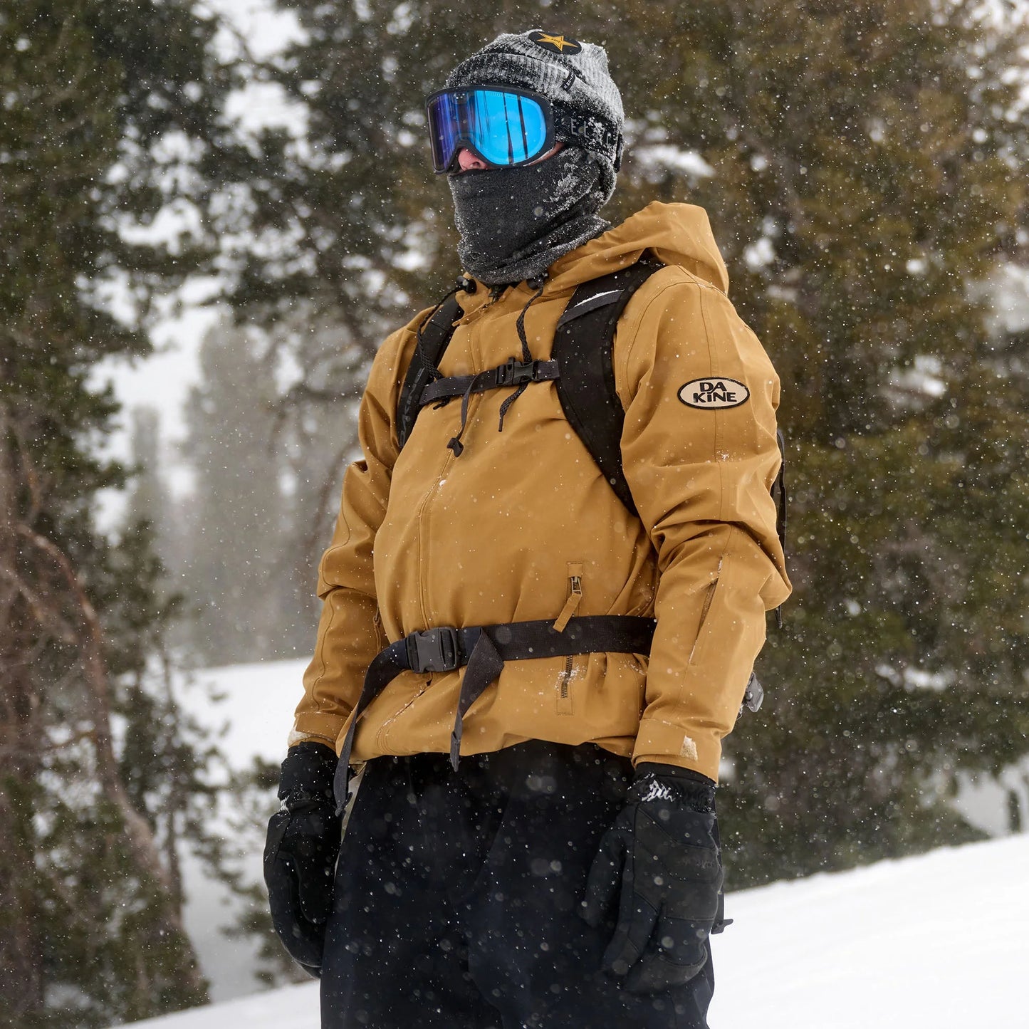 Dakine Heli Pro 20L