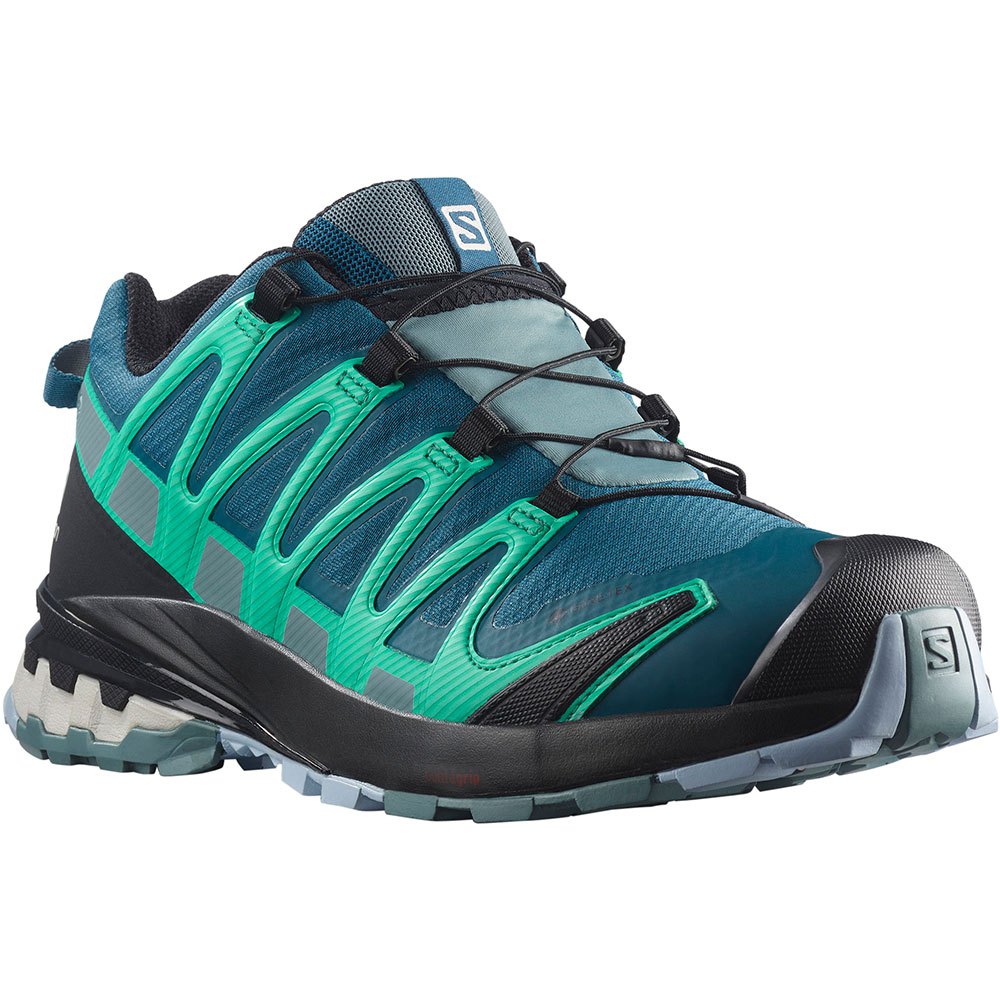 Salomon Women's XA Pro 3d V8 GTX