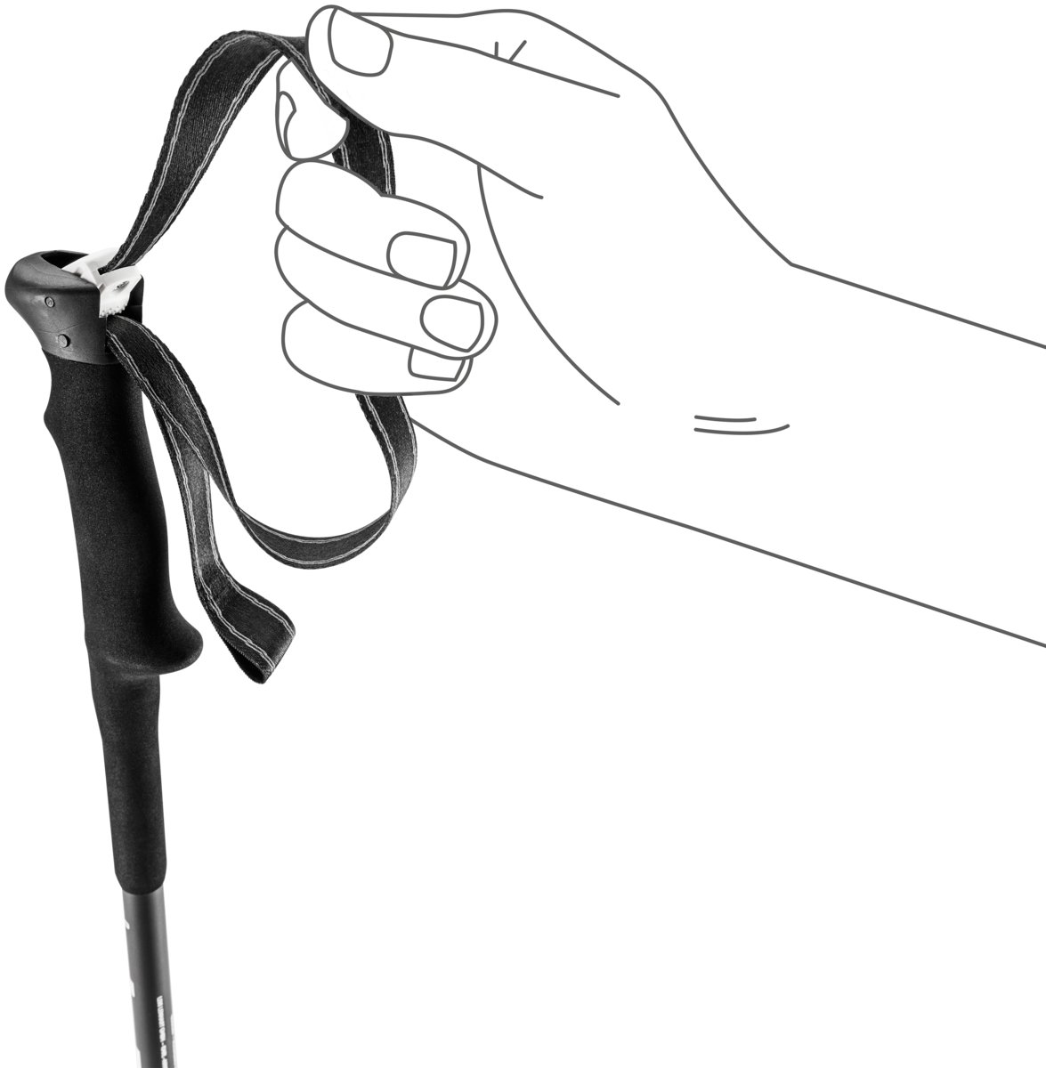 Leki Legacy Lite Pro Poles