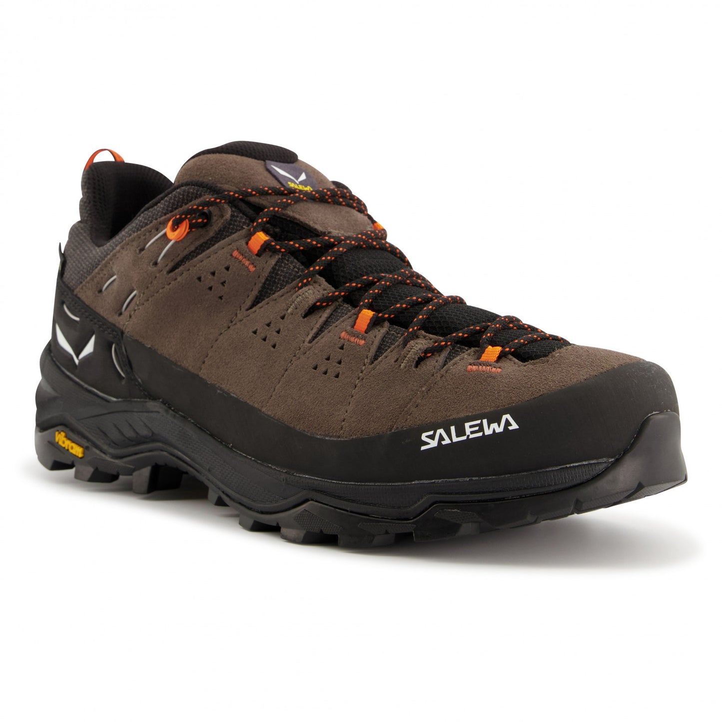 Salewa Men's Alp Trainer 2 GTX