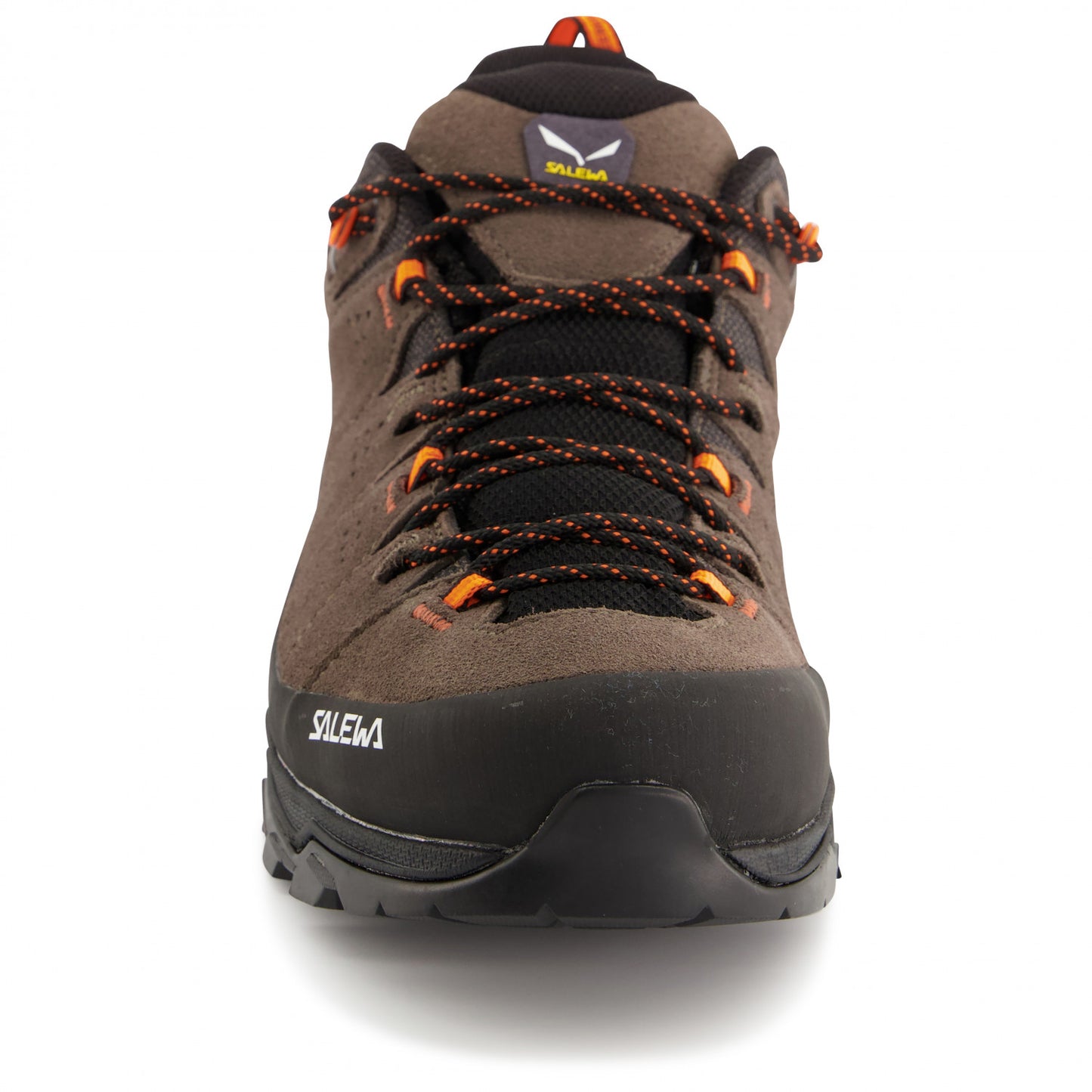 Salewa Men's Alp Trainer 2 GTX