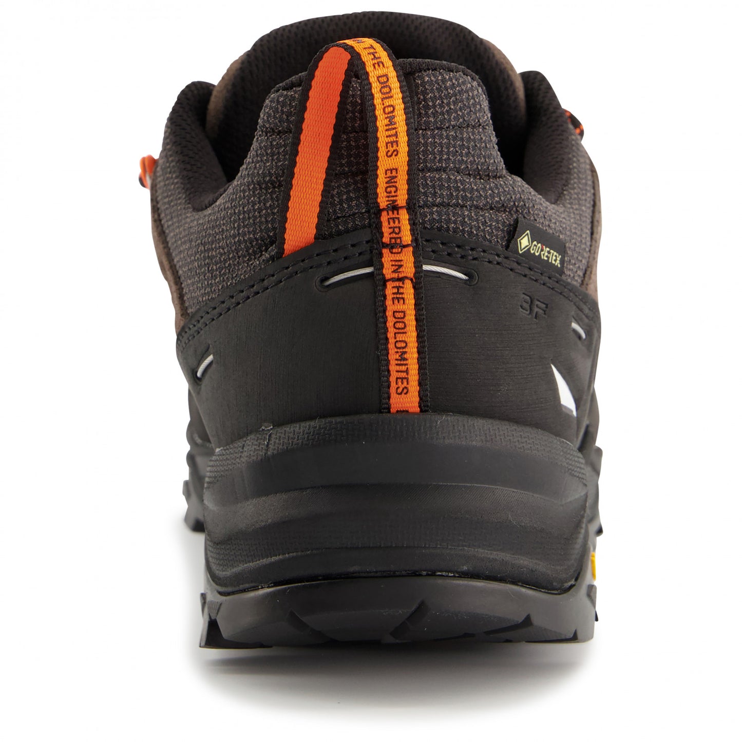 Salewa Men's Alp Trainer 2 GTX