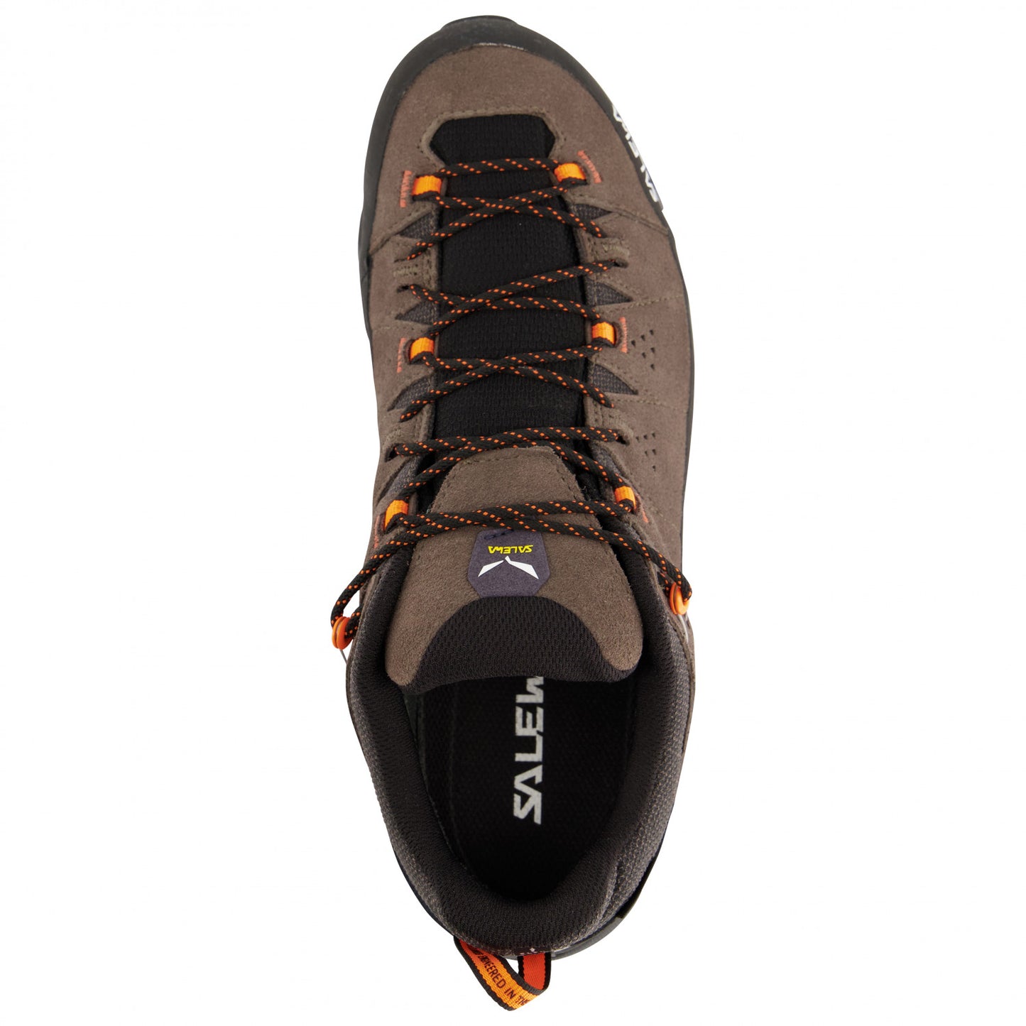 Salewa Men's Alp Trainer 2 GTX