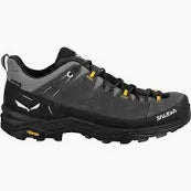 Salewa Men's Alp Trainer 2 GTX