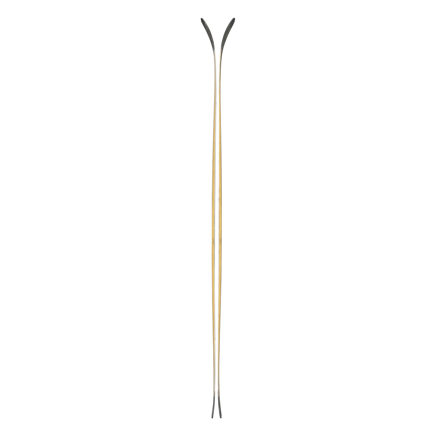 Blizzard Anomoly 94 2025