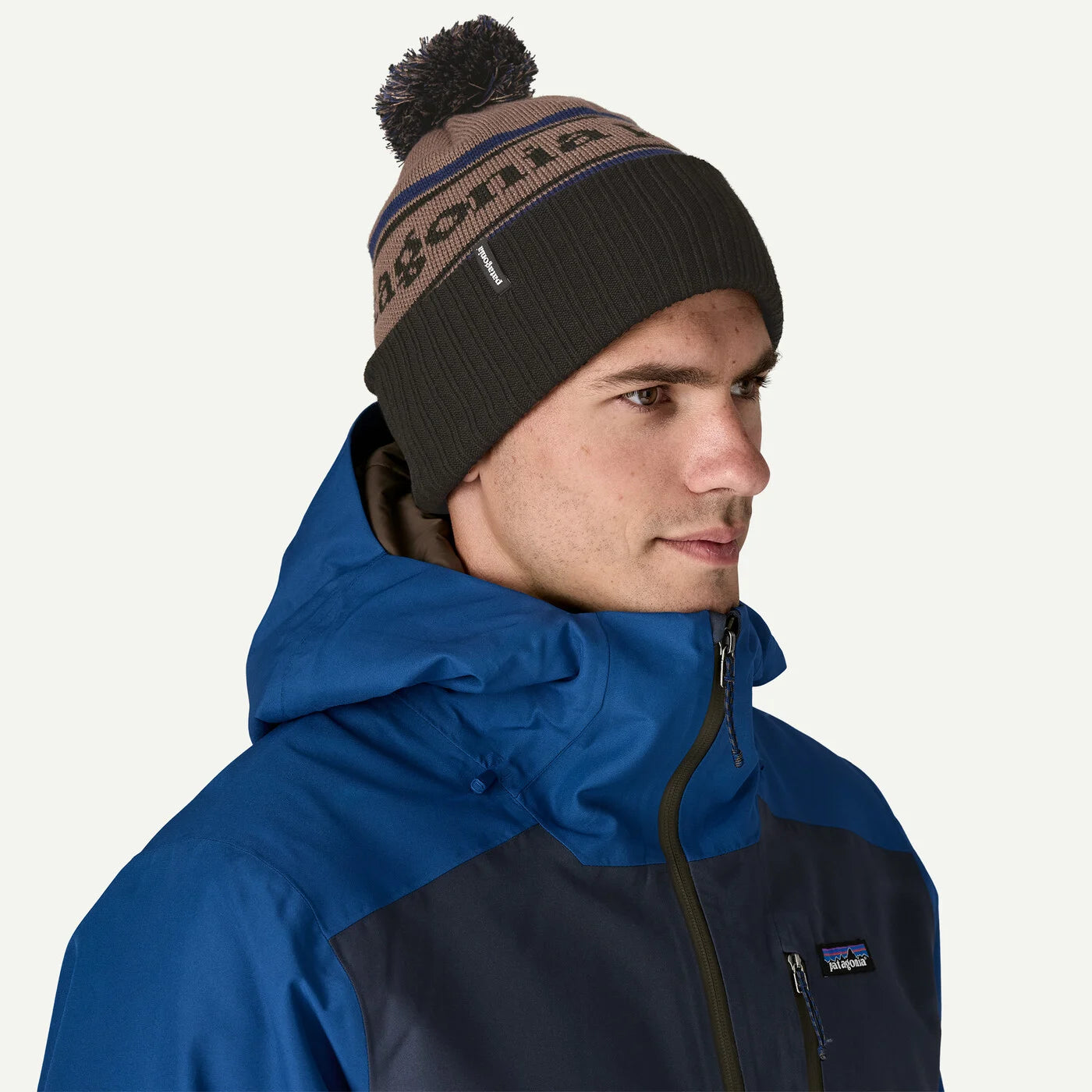 Patagonia Powder Town Beanie