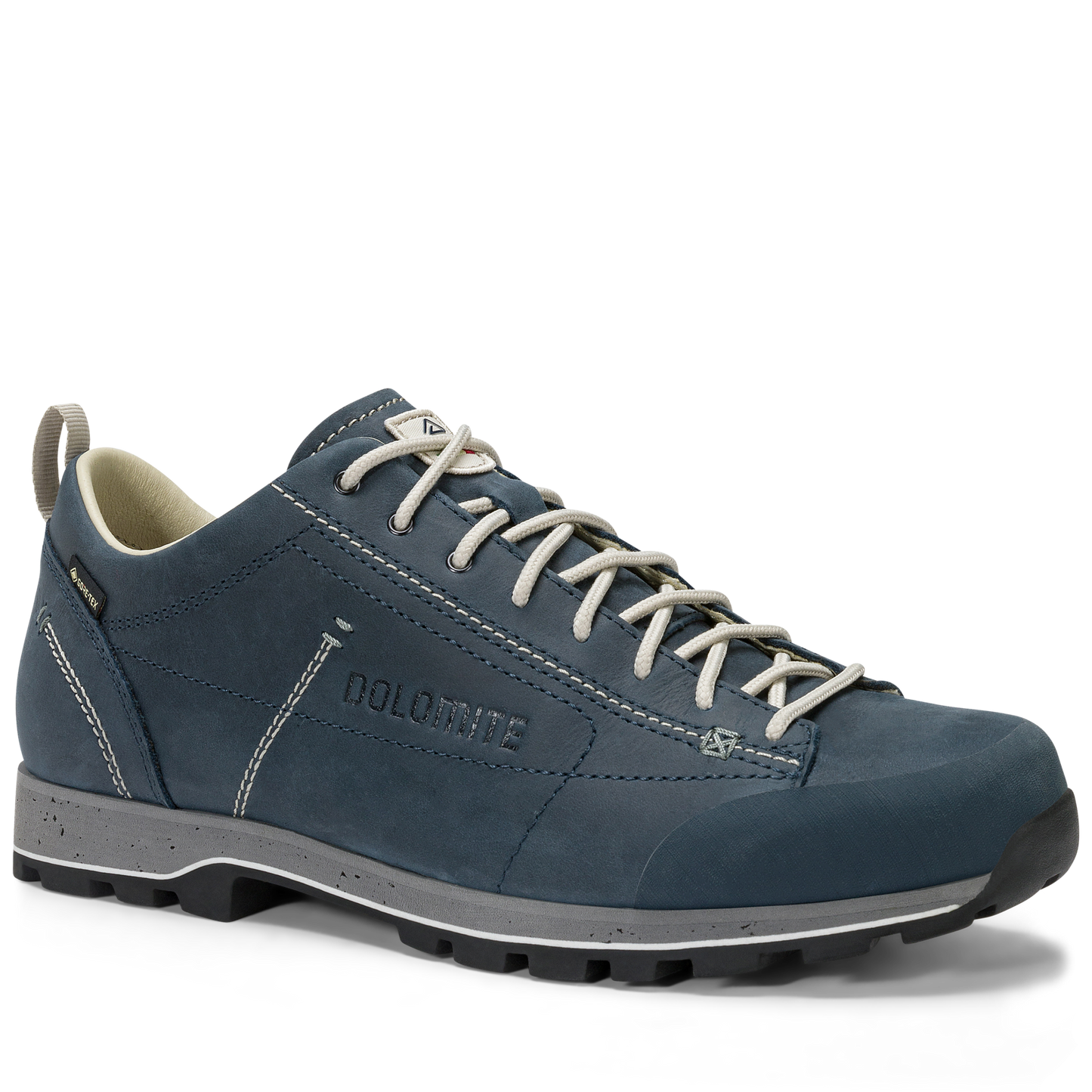 Dolomite Men's 54 Low FG EVO GTX