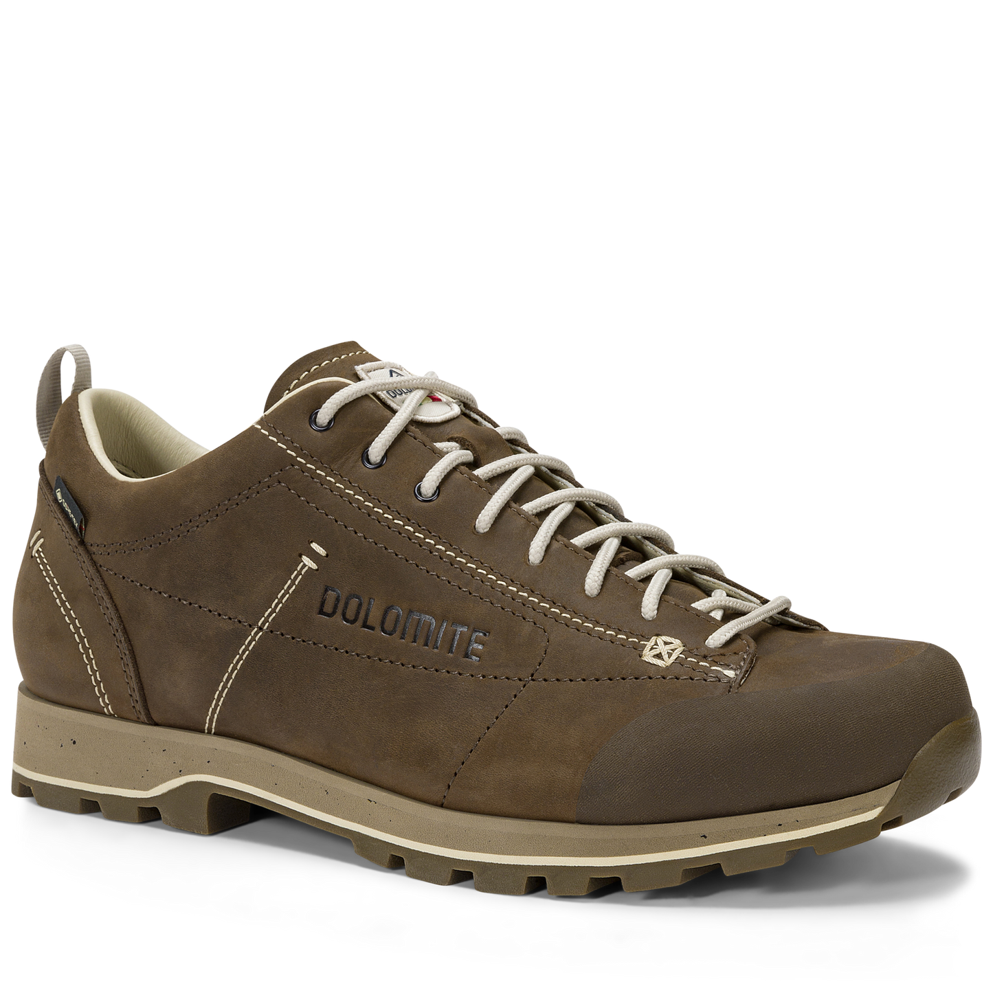 Dolomite Men's 54 Low FG EVO GTX