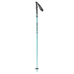 Scott SEA Poles