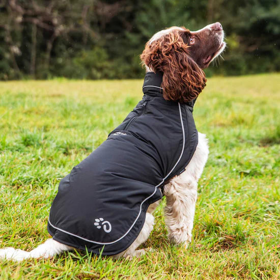 Mountain Paws Fleece Lined Dog Raincoat