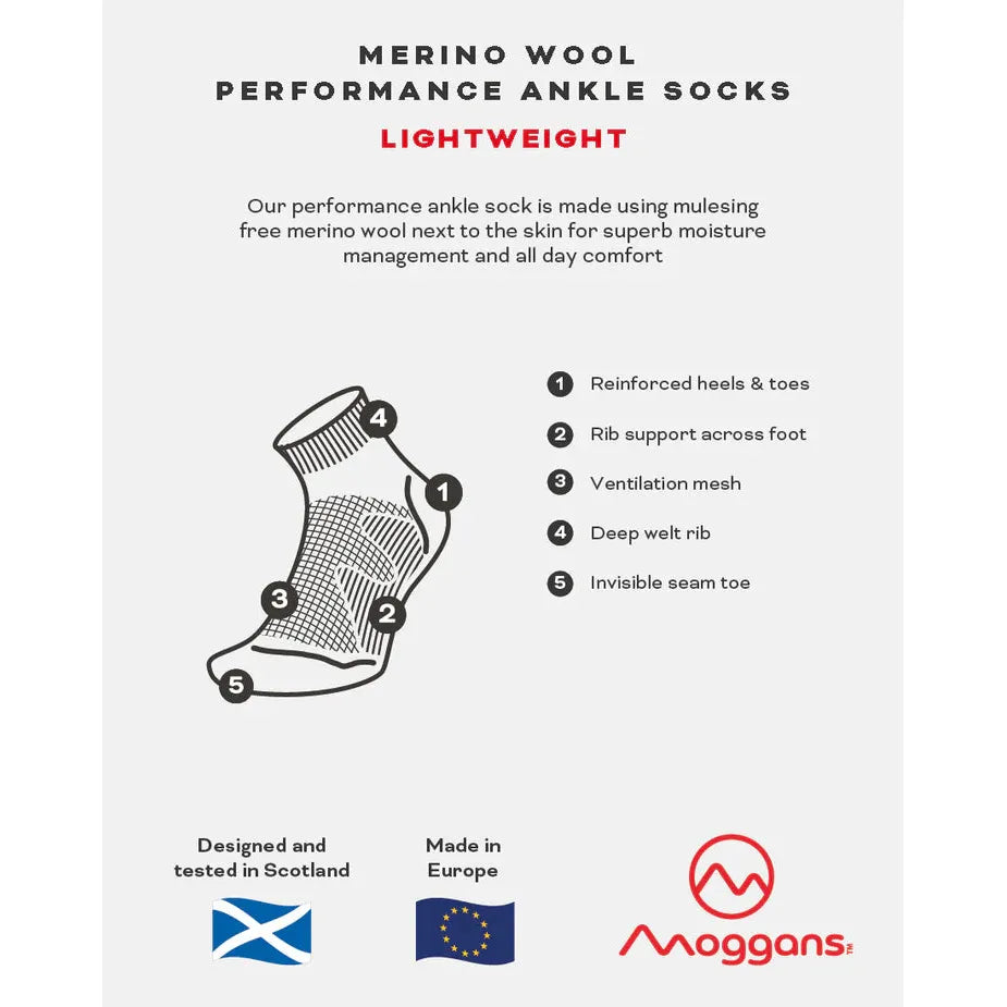Moggans Lightweight Merino Ankle Sock