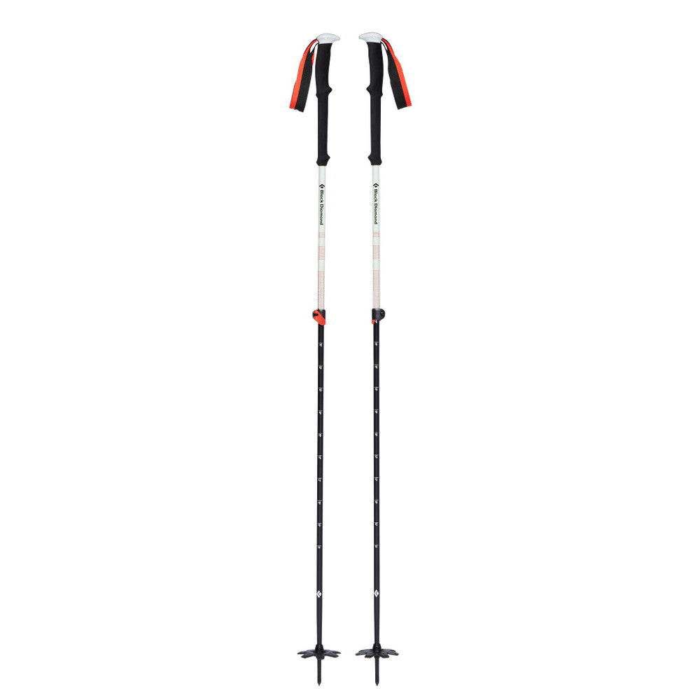 Black Diamond Expedition Pro Ski Pole