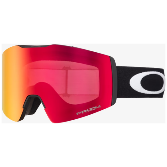 Fall Line L Snow Goggles - Prizm torch iridium/matte black strap