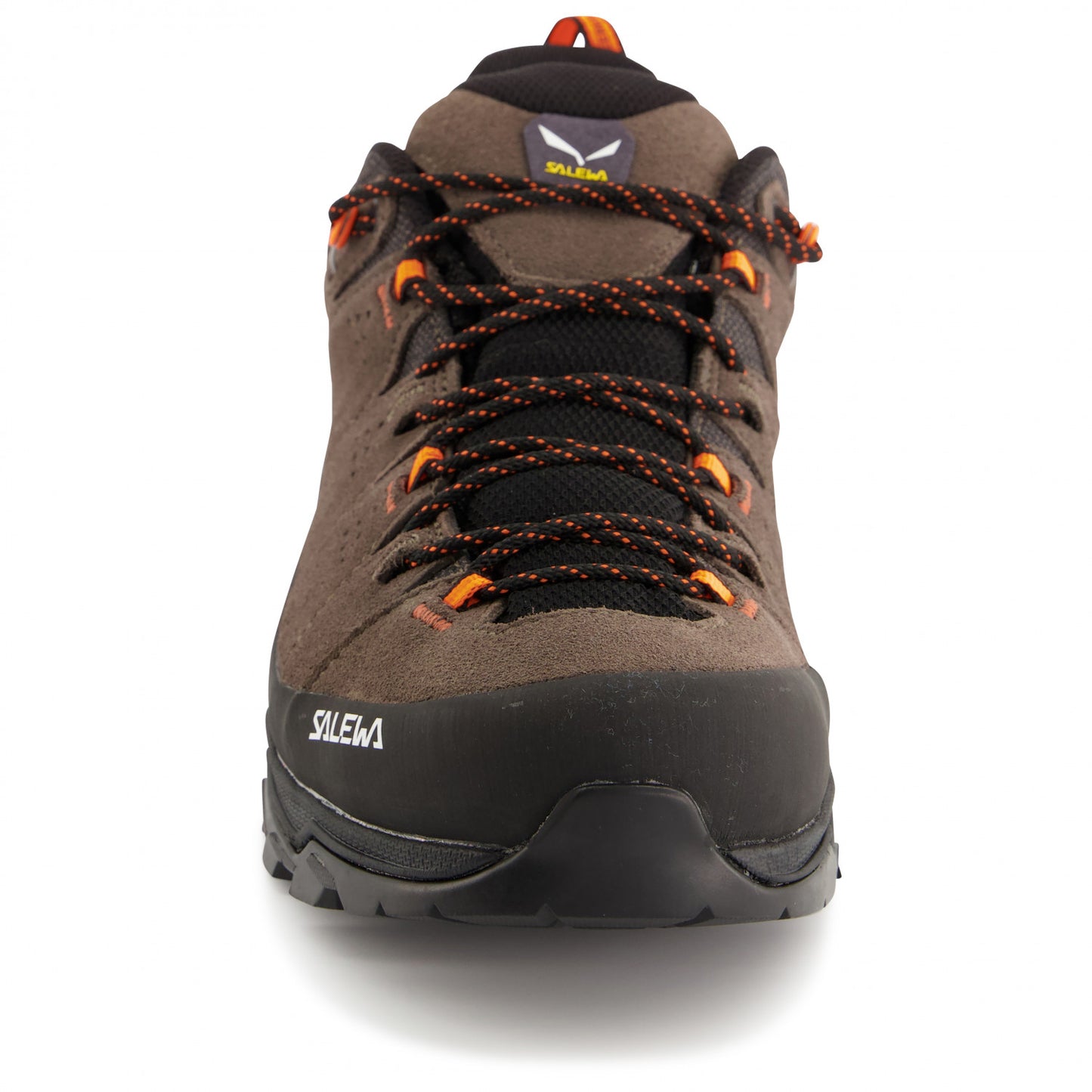 Men's Alp Trainer 2 GTX