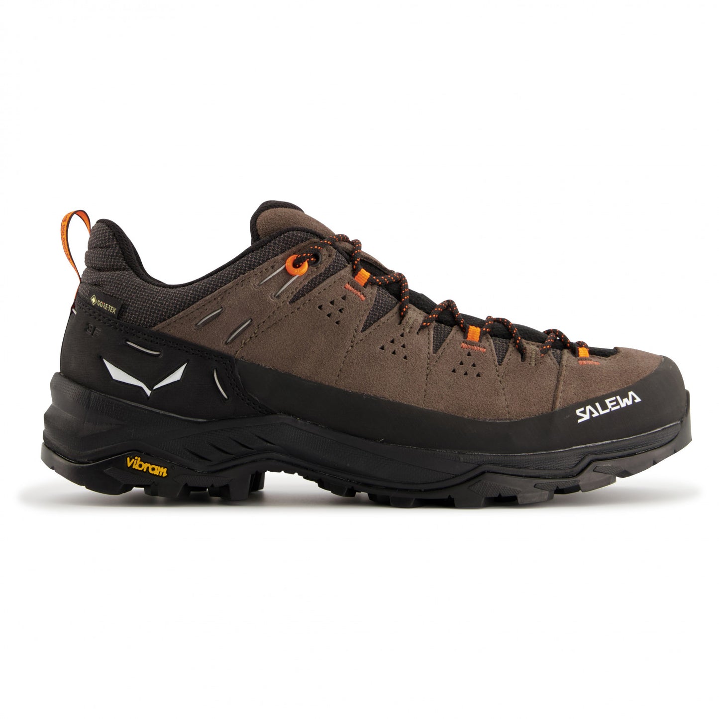 Men's Alp Trainer 2 GTX