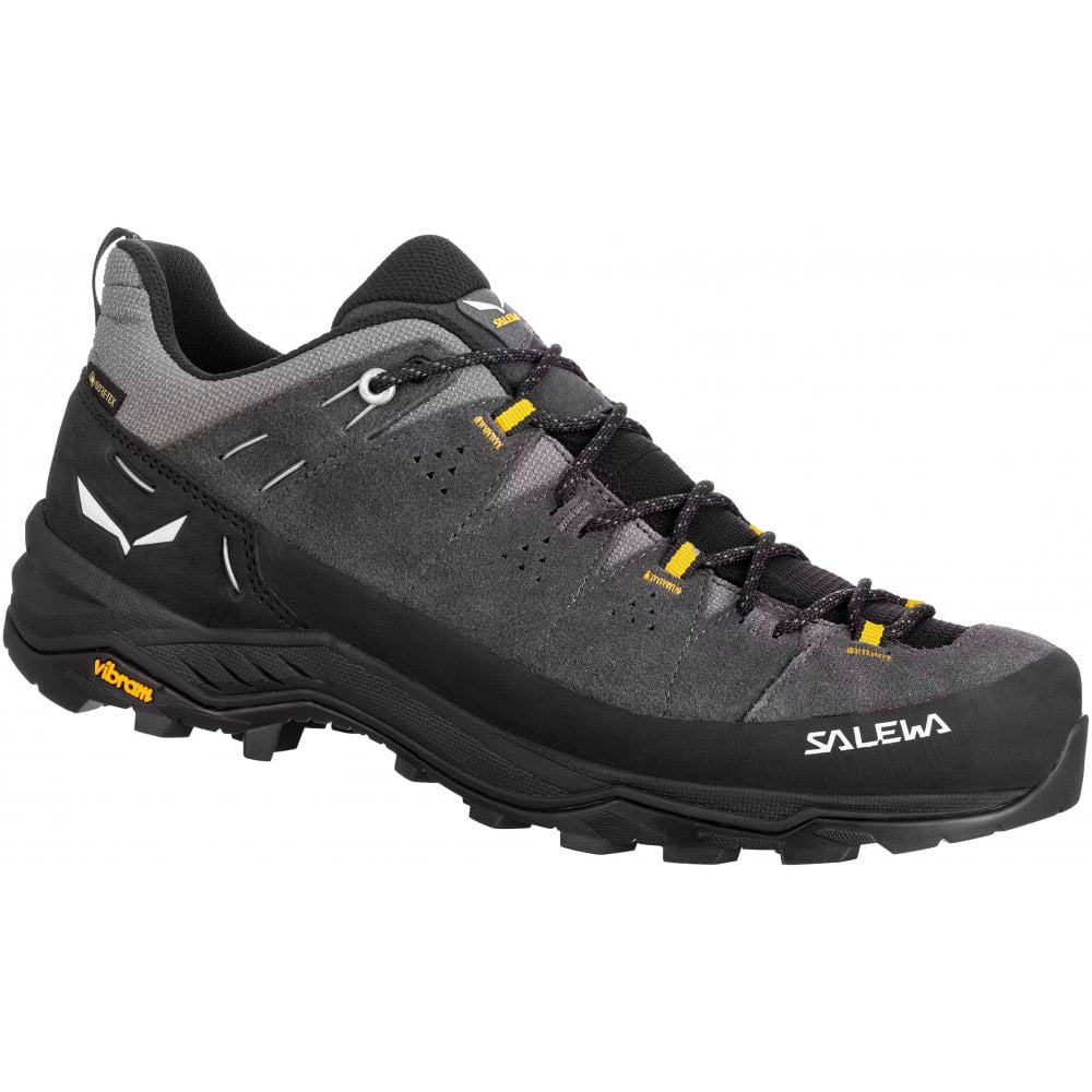 Salewa Men's Alp Trainer 2 GTX