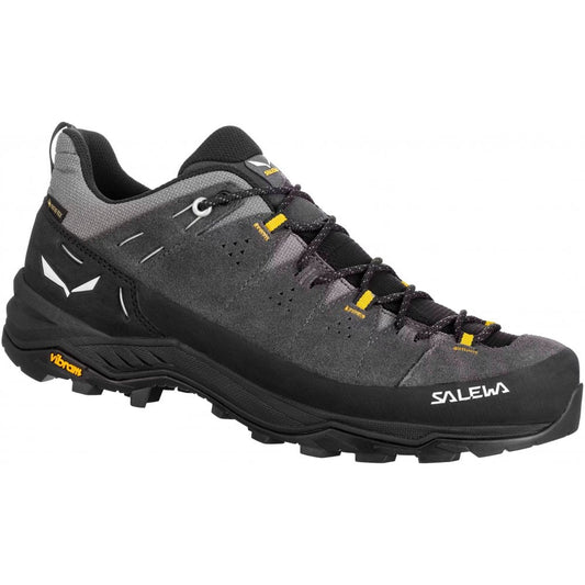 Salewa Men's Alp Trainer 2 GTX